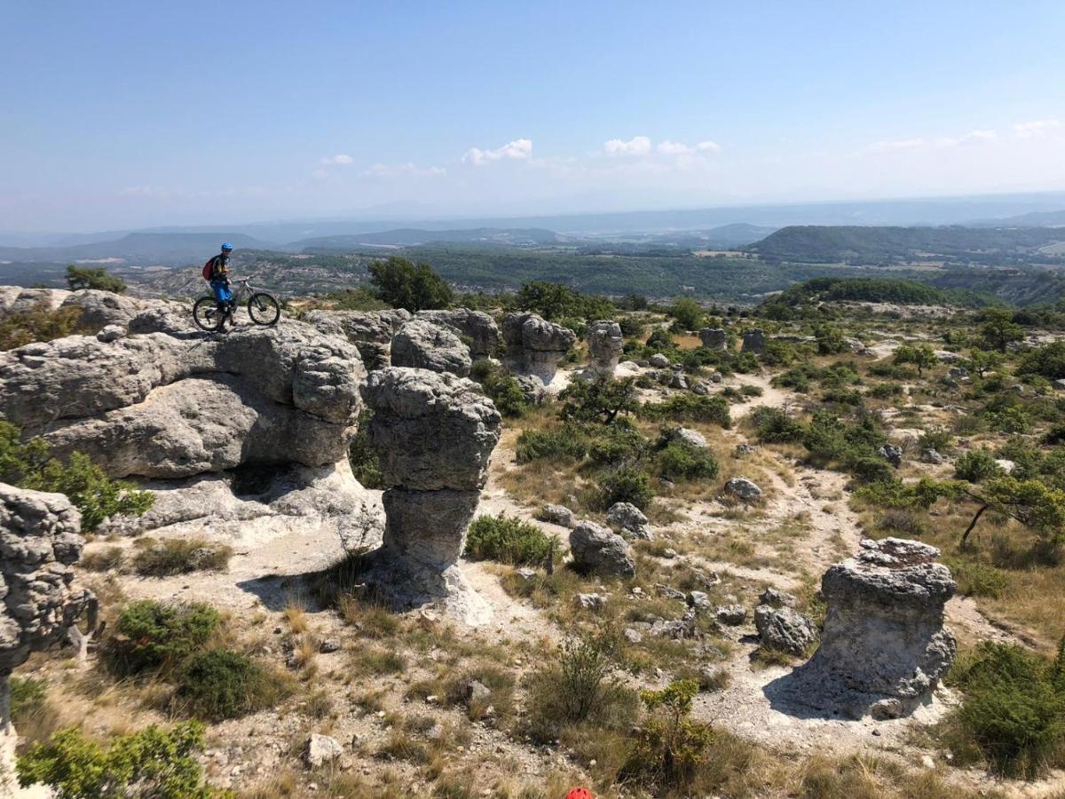 Reve De Provence Villa Avec Jardin Et Piscine Forcalquier Esterno foto