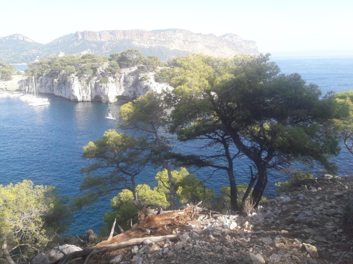 Reve De Provence Villa Avec Jardin Et Piscine Forcalquier Esterno foto